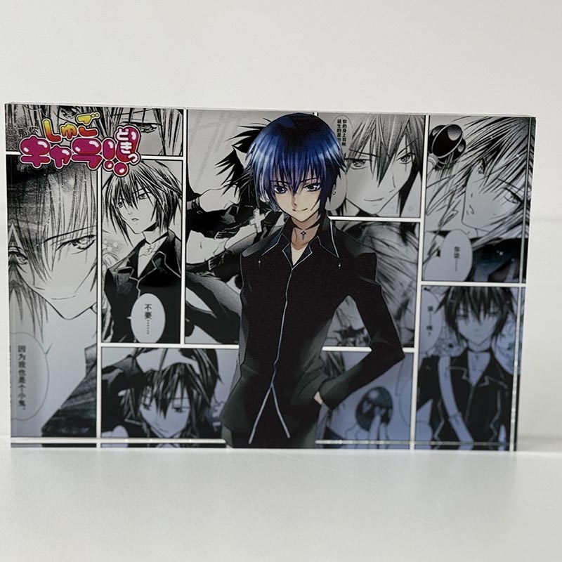 Anime Acrylic Bricks