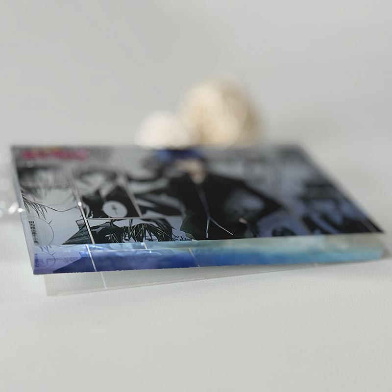 Anime Acrylic Bricks