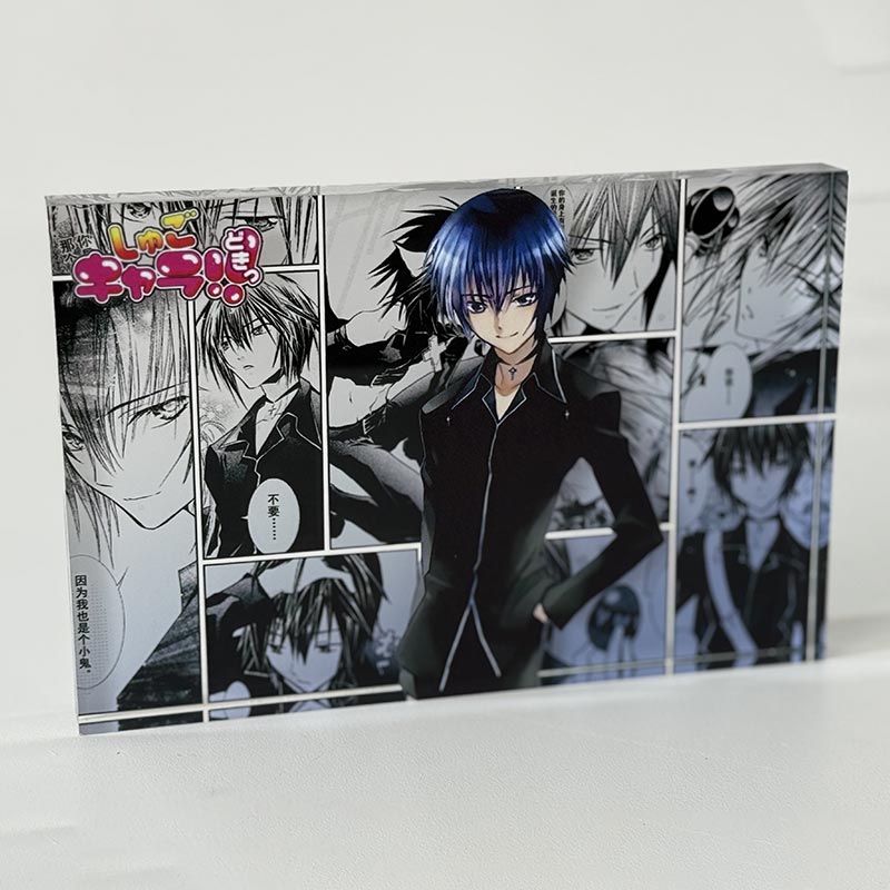 Anime Acrylic Bricks